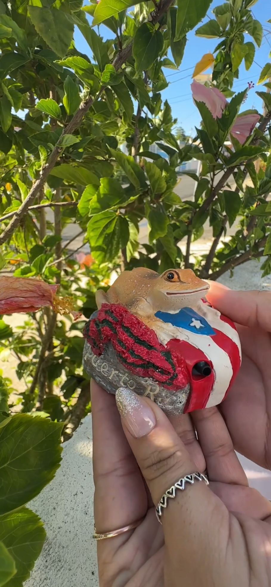 Figura del Coqui con sonido ❤️