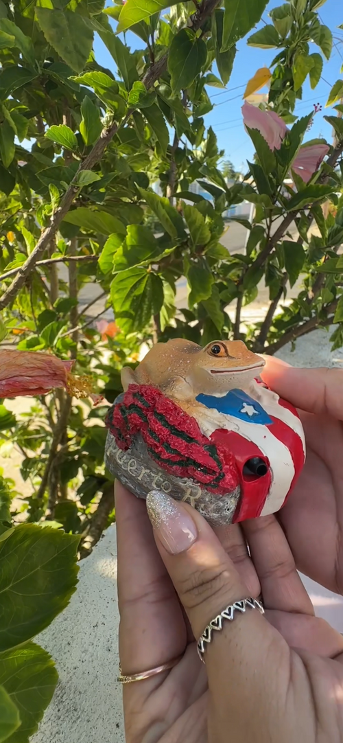 Figura del Coqui con sonido ❤️