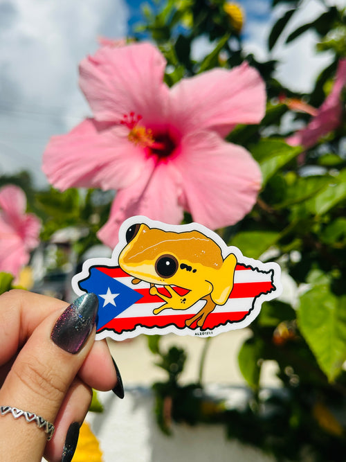 El Coqui ❤️