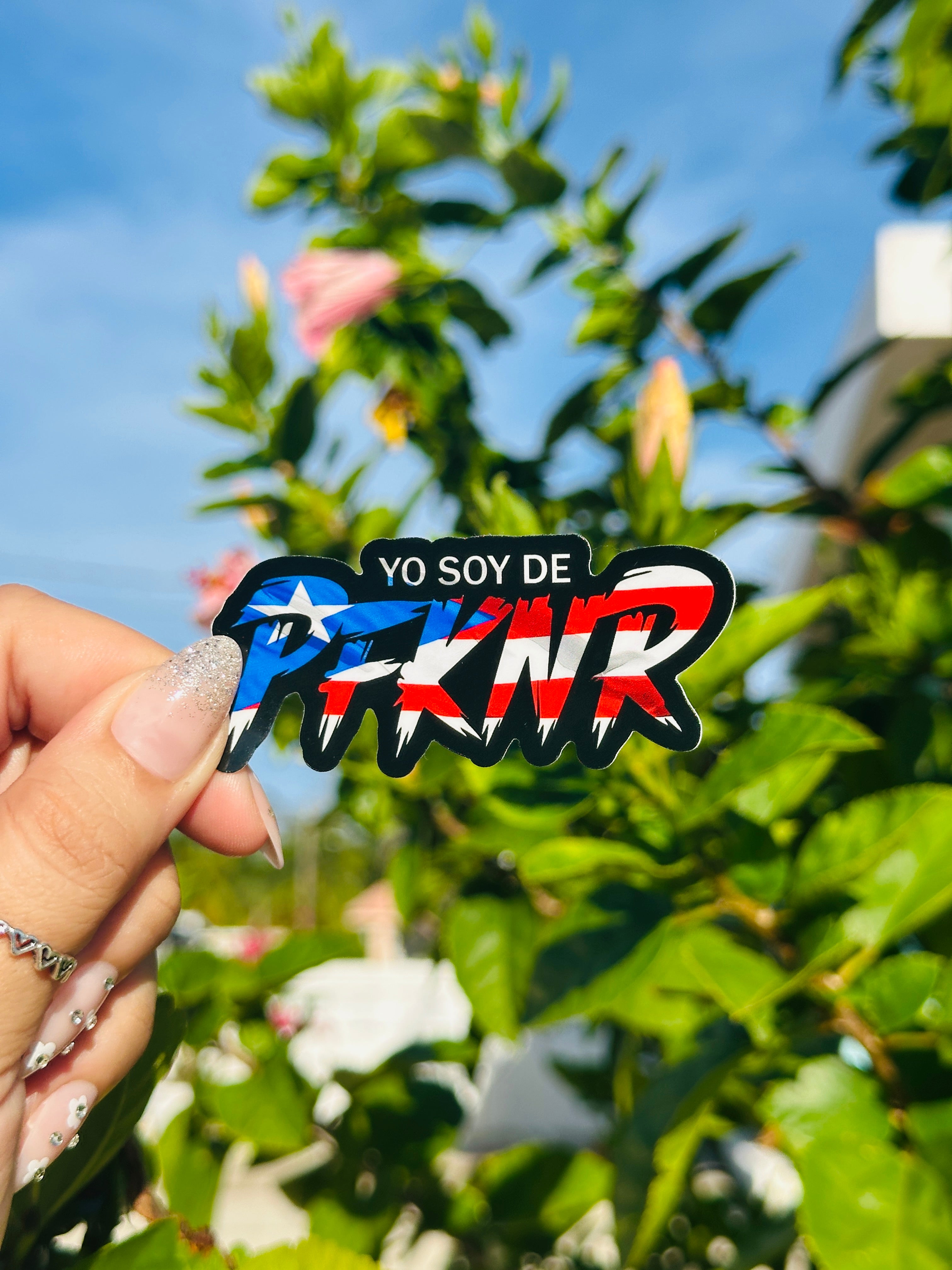 Yo Soy de PFKNR