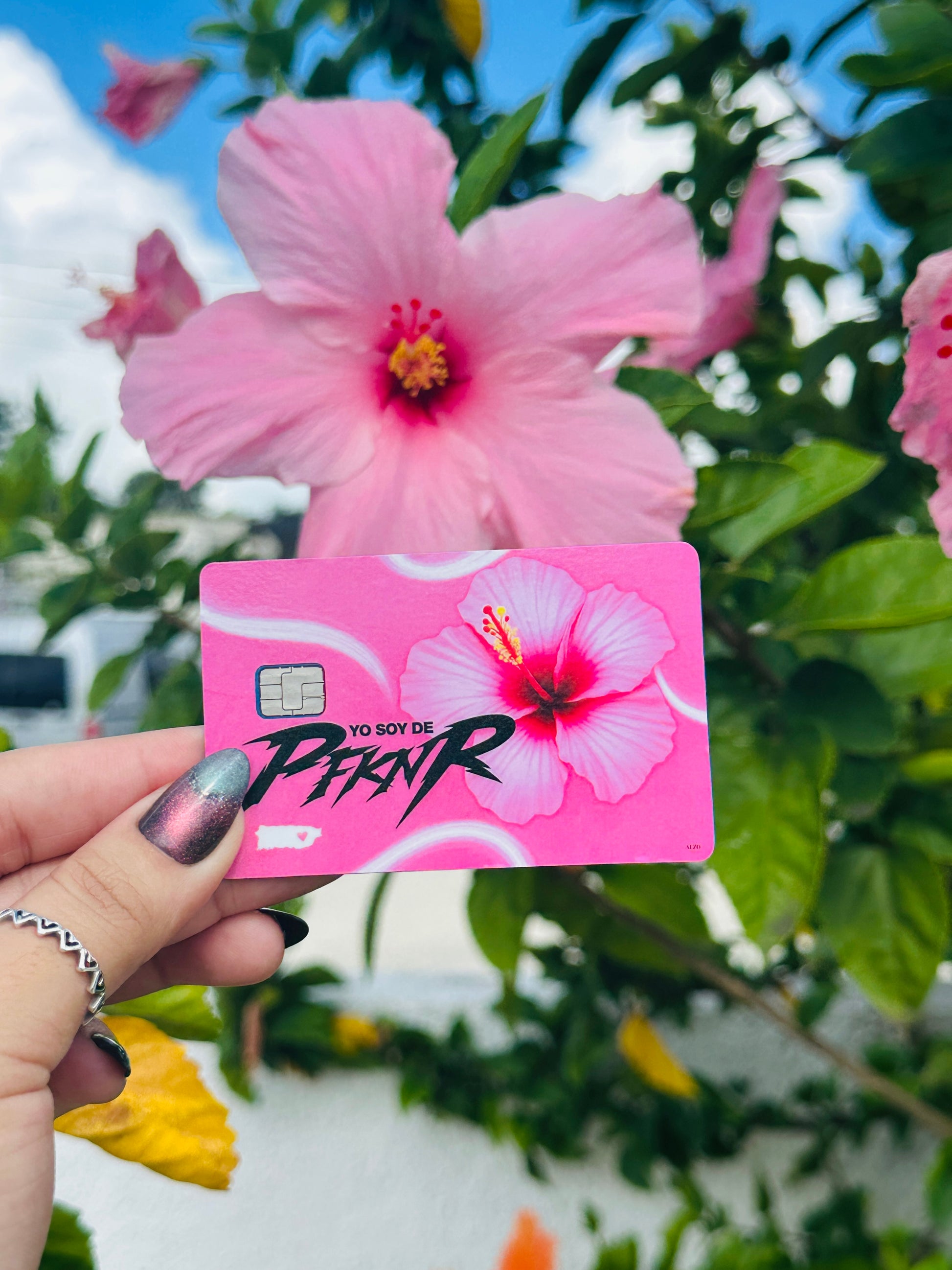 Amapola Card