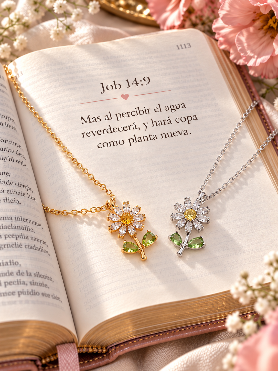 Collar Reverdeceras