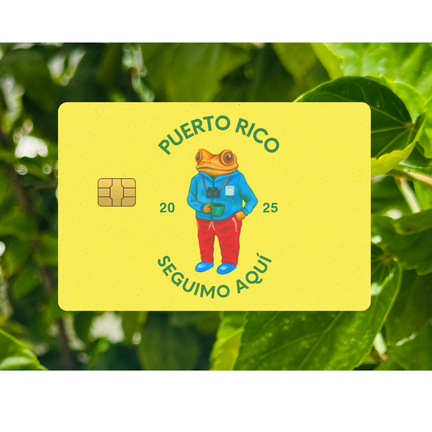 SEGUIMO AQUI CARD ,EDICION LIMITADA